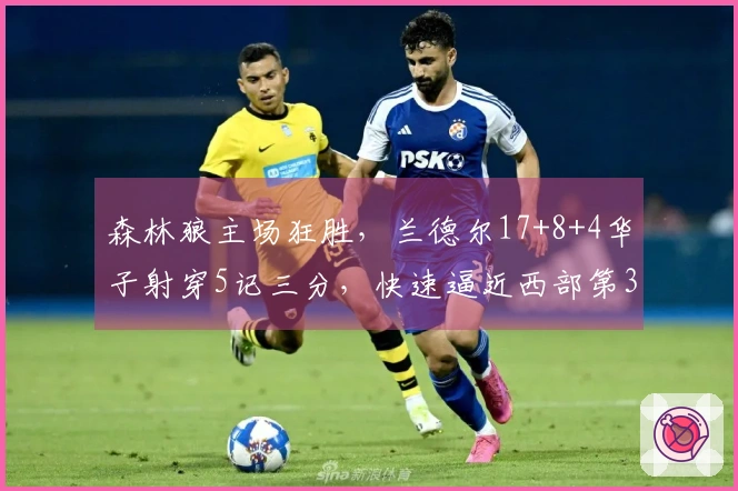 森林狼主场狂胜，兰德尔17+8+4华子射穿5记三分，快速逼近西部第3！